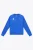 MEN TRAINING SWEATER PRO ROYAL BLUE