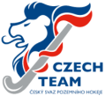 CZECH GK TEE LONG SLEEVES YELLOW - Velikost: M - Pozemní Hokej