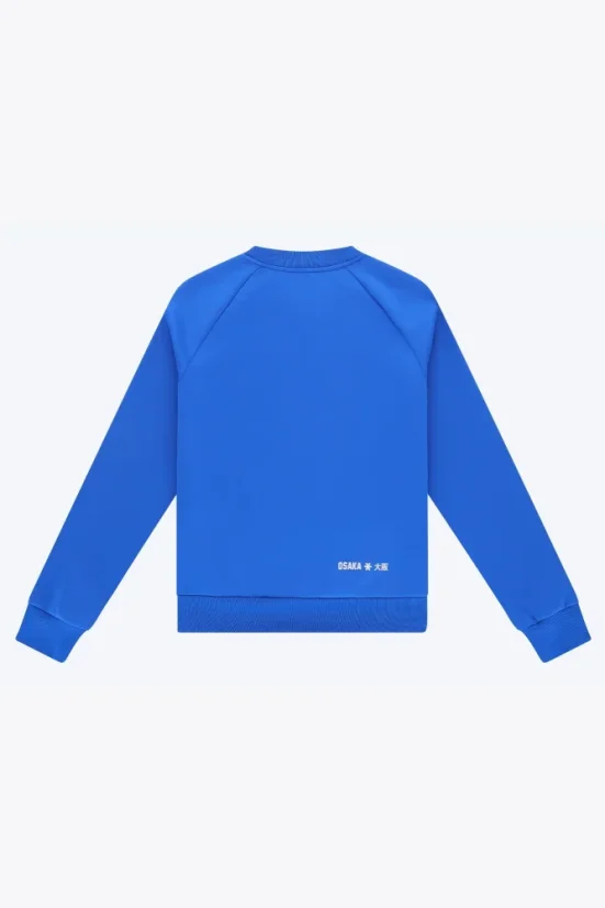MEN TRAINING SWEATER PRO ROYAL BLUE - Velikost: L