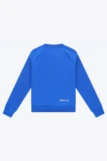MEN TRAINING SWEATER PRO ROYAL BLUE