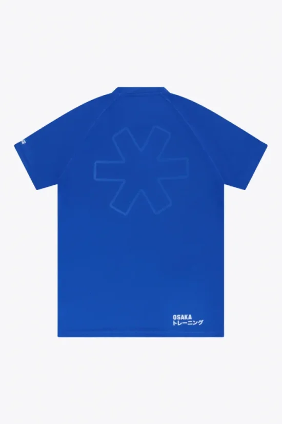 MEN TRAINING TEE SHORT SLEEVES S REC ROYAL BLUE - Velikost: XS